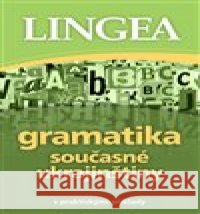 Gramatika současné ukrajinštiny kolektiv autorů 9788077000260 Lingea