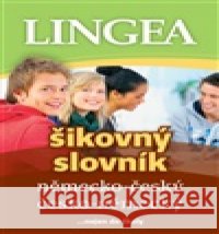 Německo-český česko-německý šikovný slovník kolektiv autorů 9788077001472 Lingea