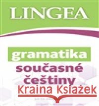 Gramatika současné češtiny kolektiv autorů 9788077001878 Lingea