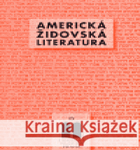 Americká židovská literatura Hana Ulamnová 9788085608656