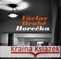 Horečka VÃ¡clav HrabÄ› 9788085935967