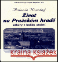 Život na Pražském hradě Antonín Novotný 9788085980233 Bystrov a synové