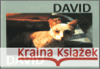 David Jiří David 9788086217260