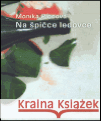 Na špičce ledovce Monika Plocová 9788086353036