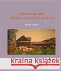 Chrestomatie jihokarpatských nářečí Michal Vašíček 9788086420769