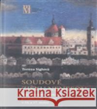 Soudové zisku nenesou Tereza Siglová 9788086488806