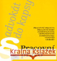Pracovní právo Pavel Petr 9788086572192