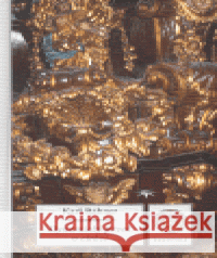 Dynamický prvek v církvi Karl Rahner 9788086715735