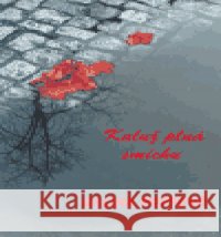 Kaluž plná smíchu Galina Poppová 9788086818122