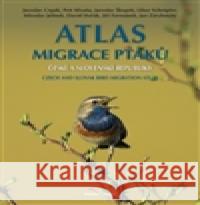 Atlas migrace ptáků ČR a SR Pavel Procházka 9788086858876