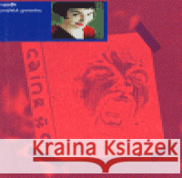 Pražská groteska Petr Vaněk 9788086877181 Literární akademie