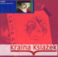 Pražská groteska Petr Vaněk 9788086877181 Literární akademie