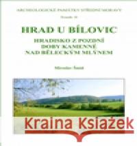 Hrad u Bílovic Miroslav Å mÃ­d 9788086989174