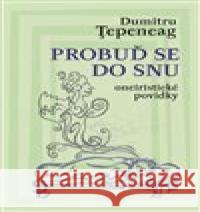 Probuď se do snu Dumitru Ţepeneag 9788087054567 Herrmann & synové