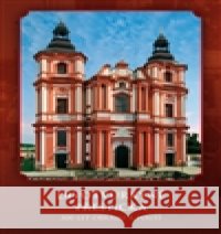 Divotvůrkyně Přeštická Michal TejÄek 9788087082256