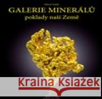 Galerie minerálů - poklady naší Země Marcel Vanek 9788087279236