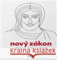 Nový zákon: Příběh a učení Ježíše Nazaretského  9788087282953 Biblion