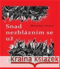 Snad nezblázním se už Iva HuttovÃ¡ 9788087283646 DrÃ¡bek AntonÃ­n