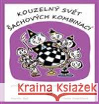 Kouzelný svět šachových kombinaci 3 Martin  Beil 9788087303955