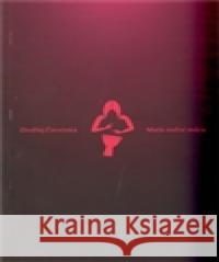 Malá noční můra Ondřej Červinka 9788087378717