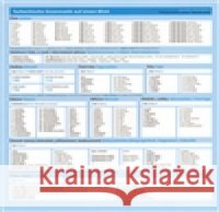 Česká gramatika v kostce - německá Lída Holá 9788087481578 Akropolis