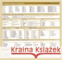 Česká gramatika v kostce - španělská Lída Holá 9788087481585 Akropolis