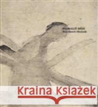 Pomalý běh Norbert Holub 9788087483107