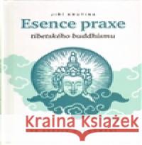 Esence praxe tibetského buddhismu ve světle uvědomění Jiří Krutina 9788087493090 Krutina Jiří - Vacek