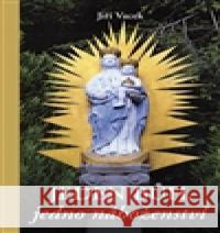 Jeden Bůh, jedno náboženství JiÅ™Ã­ Vacek 9788087493557 Krutina JiÅ™Ã­ - Vacek