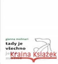 Tady je všechno ještě možné Gianna Molinari 9788087545744