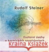 Esoterní úvahy o karmických souvislostech Rudolf Steiner 9788087635513 Fabula