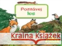 Poznávej les Anne Ebert 9788087696224 Pixi knihy