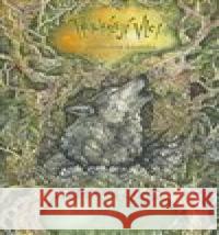 Přicházejí vlci Karolína Wellartová 9788087757185