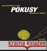 Pokusy Ivan Steiger 9788087825105