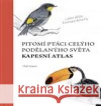 Pitomí ptáci celýho podělanýho světa Matt Kracht 9788087850275 Mapcards.net