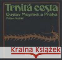 Trnitá cesta Milan Kolář 9788087908655