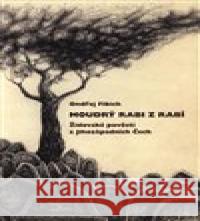 Moudrý rabi z Rabí Ondřej Fibich 9788088002161