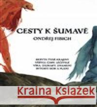 Cesty k Šumavě Petr Štěpán 9788088002239