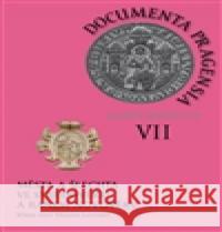 Documenta pragensia supplementa VII. Kateřina Jíšová 9788088013426