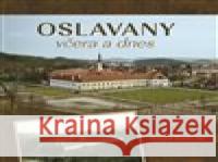 Oslavany včera a dnes Stanislav Staněk 9788088041474