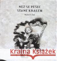 Než se pěšec stane králem Vojtěch Žák 9788088049586