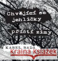 Chvějící se jehličky příští zimy Karel Rada 9788088143253