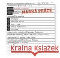 Marná práce Karel Haloun 9788088151050