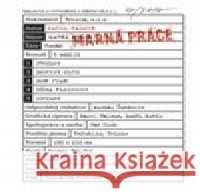 Marná práce Karel Haloun 9788088151050