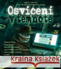 Osvícení v temnotě Hans-Ake Lilja 9788088243106