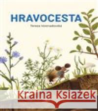 Hravocesta Tereza Vostradovská 9788088360353