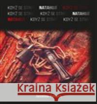 Když se stíny natahují Jasmina Petlach 9788088412168