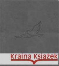 Bible21 - kapesní  9788088642312 Biblion