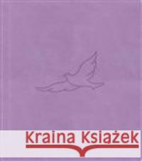 Bible21 - kapesní  9788088642336 Biblion