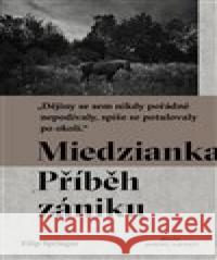 Miedzianka Filip Springer 9788089876532